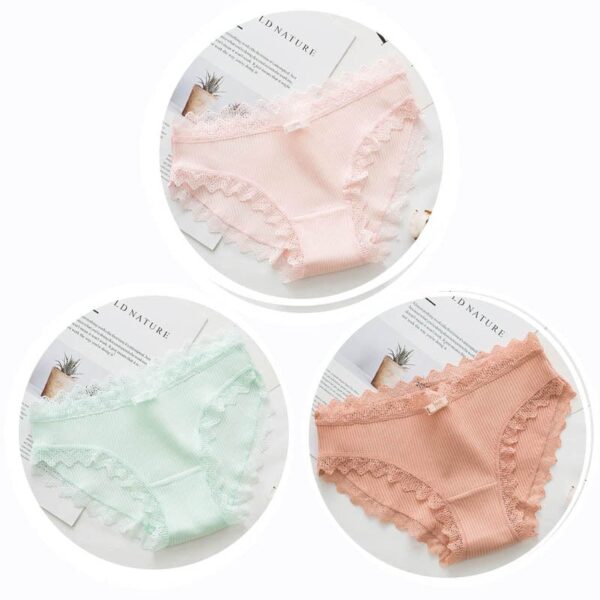 Kinky Cloth Image color 5 / M / 3PCS 3pcs Cotton Lace Panties