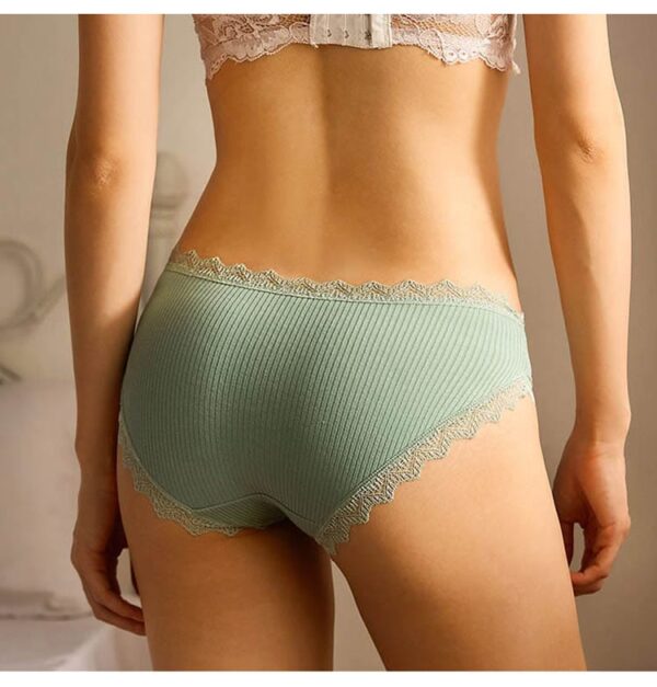 Kinky Cloth 3pcs Cotton Lace Panties