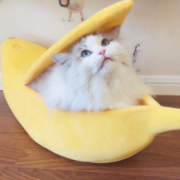 Kinky Cloth Accessories Banana Pet Bed