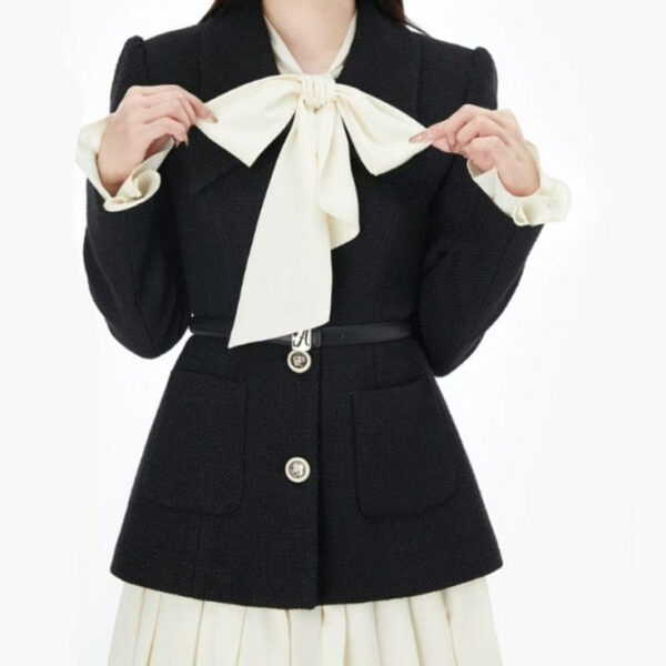 Kinky Cloth Bow Pleated Dress and Coat Set