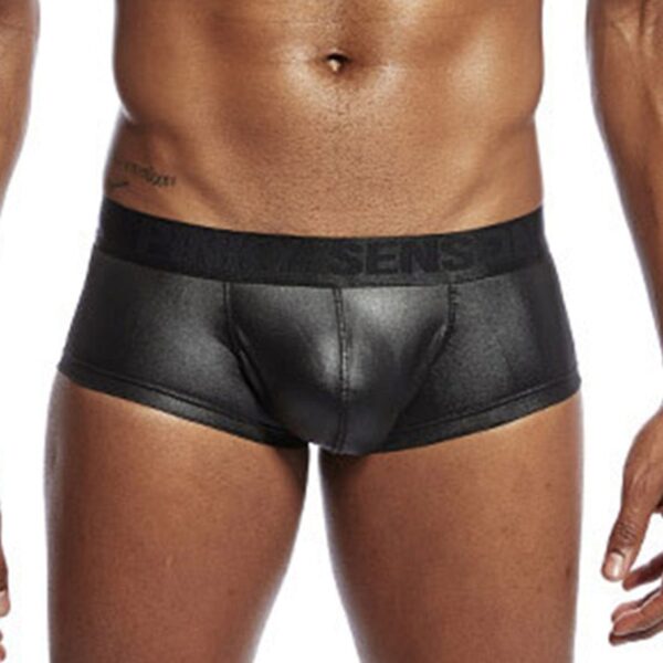 Kinky Cloth Black / M Glossy Bulge Pouch Boxer Briefs