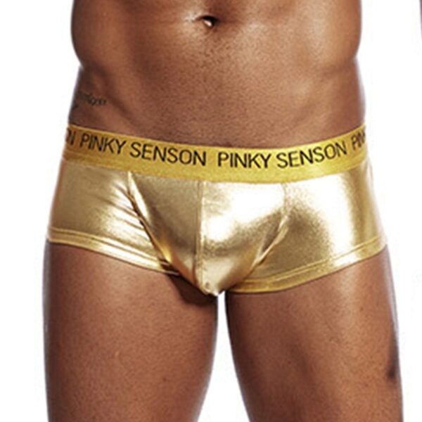 Kinky Cloth Gold / M Glossy Bulge Pouch Boxer Briefs