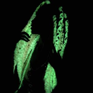 Kinky Cloth Accessories Glow in the Dark Braided Weave