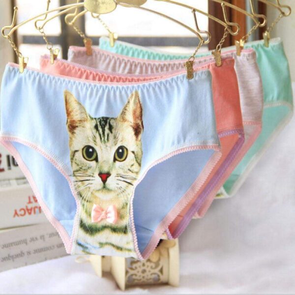 Kinky Cloth Beige / China Kitty Panties