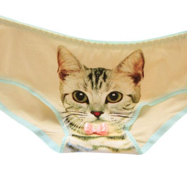 Kinky Cloth Beige / China Kitty Panties