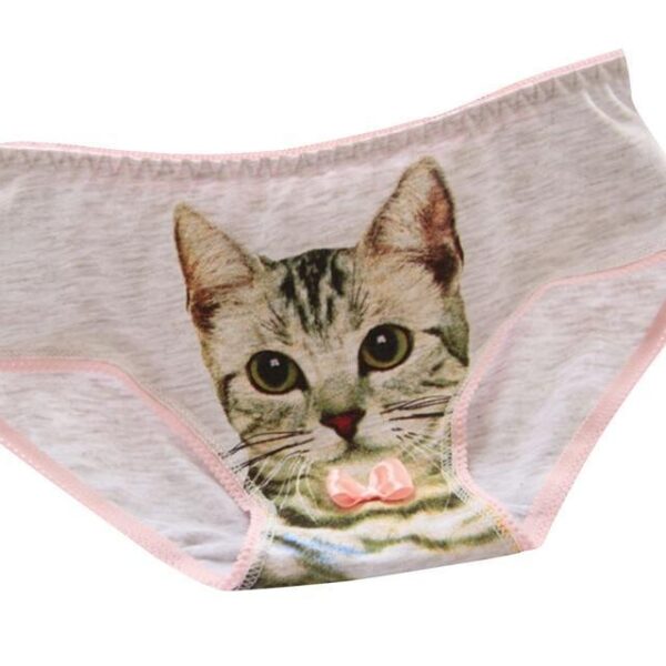 Kinky Cloth Gray / China Kitty Panties