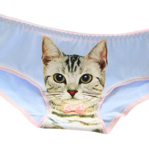 Kinky Cloth Light blue / China Kitty Panties