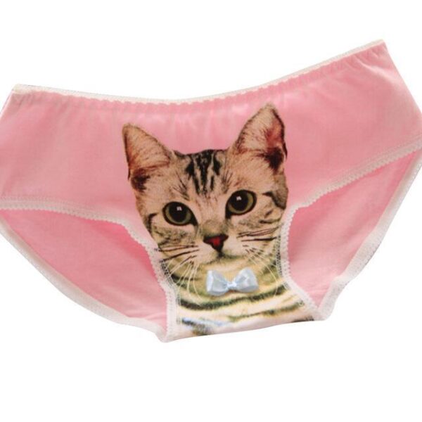 Kinky Cloth Pink / China Kitty Panties